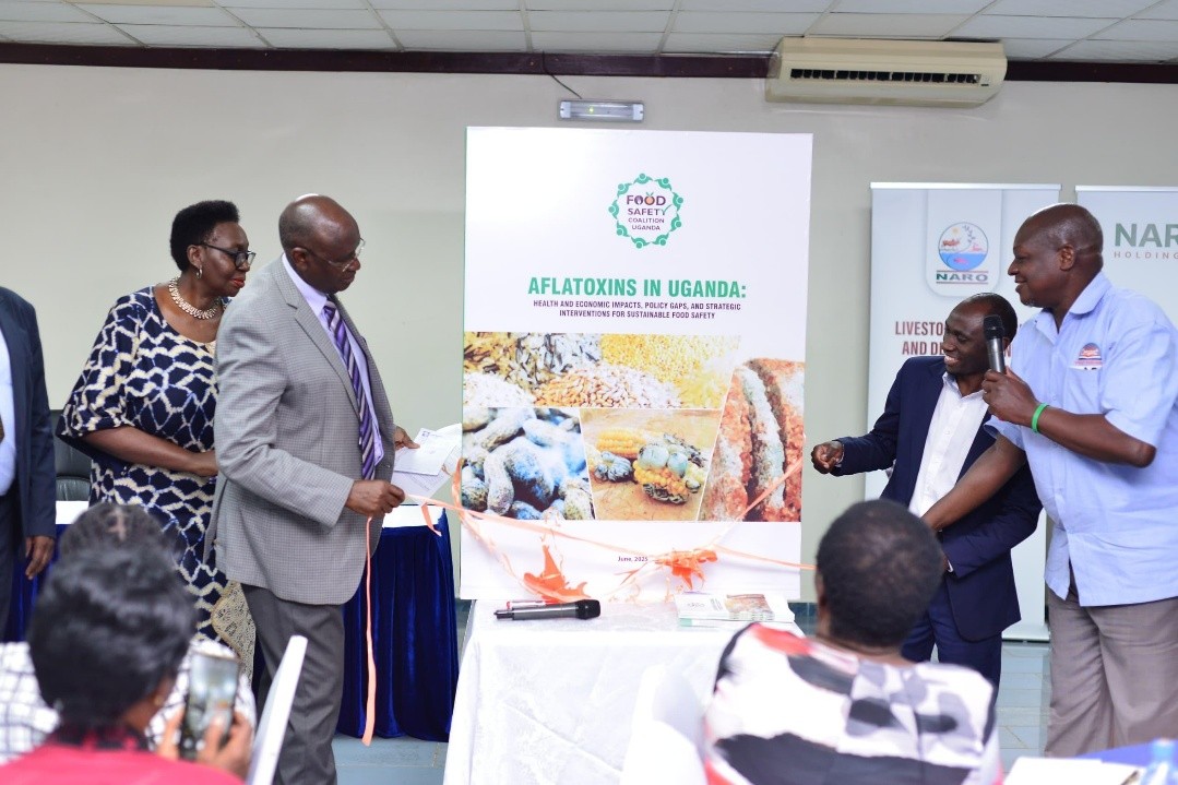 The State Minister responsible for Animal Husbandry, Hon. Bright Rwamirama launching the report on Aflatoxin In Uganda